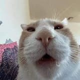 MoopyGloopy